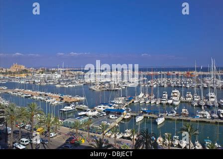 lutron marine palma majorca|Marinas and moorings in Mallorca (Majorca).